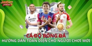 Cá độ bóng đá – Hướng dẫn toàn diện cho người chơi mới và kinh nghiệm