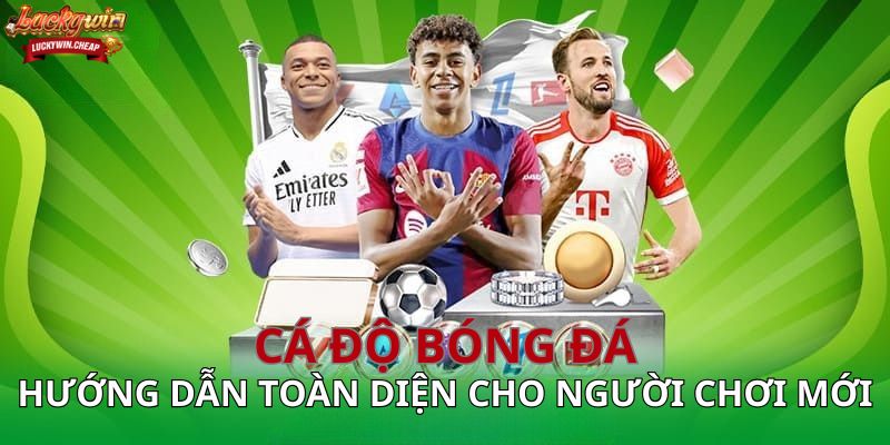 Cá độ bóng đá – Hướng dẫn toàn diện cho người chơi mới và kinh nghiệm