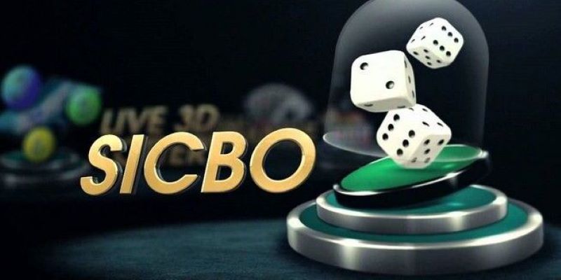 Hiểu rõ về Sicbo trước khi học cách chơi